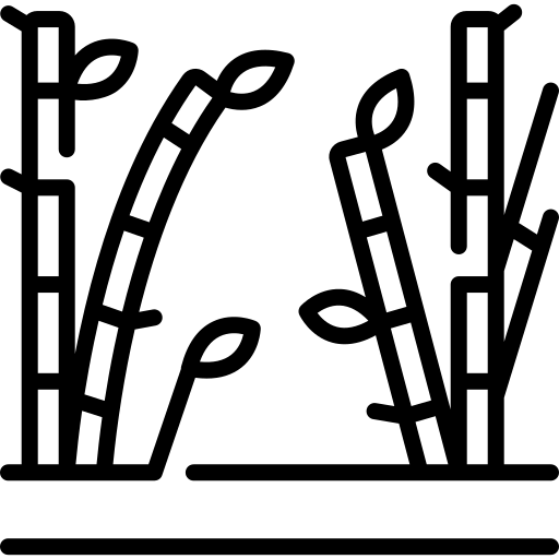 jardin exotique