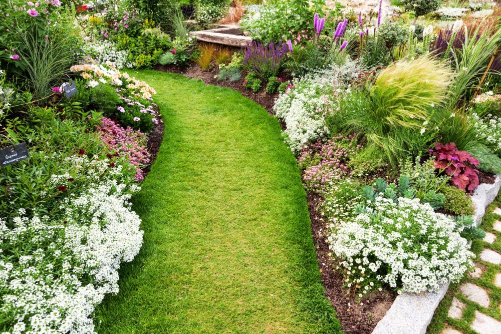 jardin